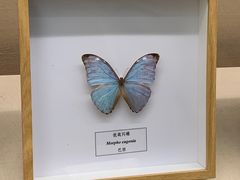 -汕头市博物馆
