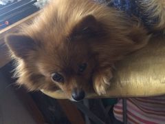 iphone_upload_pic-A+摄影