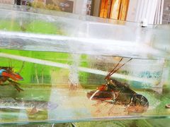-四海鲜渔家菜(黄金海岸店)