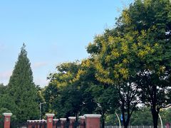 -复旦大学(地铁站)