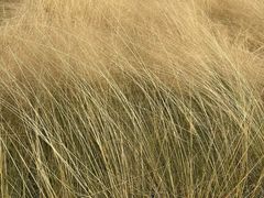 -中国天府农业博览园