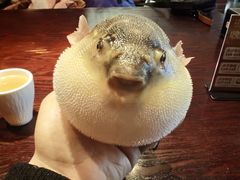 -永安鱼庄·镇江菜(东吴路店)