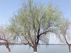 -东湖磨山景区