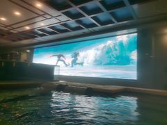 -碧中海汤泉汗蒸酒店