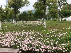 -苏州湾体育公园