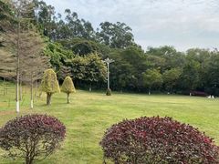 -厦门悦华酒店