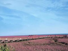 -红海滩国家风景廊道