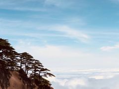 -黄山玉屏楼宾馆餐厅