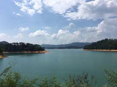 -广州市流溪河国家森林公园