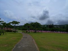 -美国纪念公园