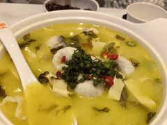 -鱼你在一起(新森兰花园城店)