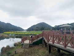 -广州市石门国家森林公园