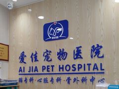 -爱佳宠物中心医院24H·CT·骨外科·猫专科(瑶海万达店)