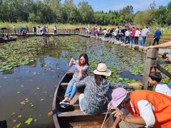 -溱湖国家湿地公园