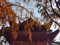 -上海东林寺(金山区)