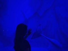 -沈阳海洋探索中心