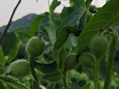 -天津盘山风景名胜区