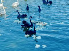 -水上乐园·欢乐世界