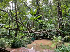 -中国科学院西双版纳热带植物园