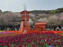 -苏州上方山国家森林公园