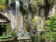 -西双版纳原始森林公园