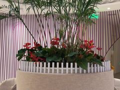 -LANN I 蘭 SPA(陆家嘴中心店)