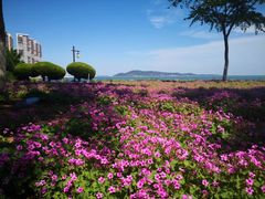 -海源公园