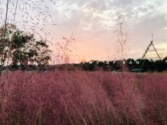 -艾溪湖湿地公园