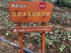 -石塘人家
