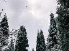 -九峰山