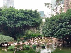 -九龙公园