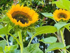 -白沙门生态公园