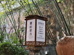 -西安国际创新人才交流中心•药浴温泉