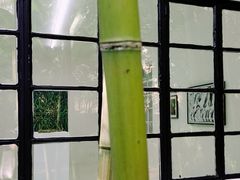 -胶囊画廊
