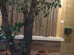 -御池园(顾村公园店)