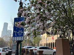 -天津五大道文化旅游区