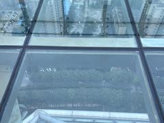 -陕西广播电视塔