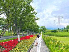 -长田漾湿地公园