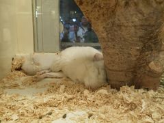 -龙猫仔乐园(惠福东路店)