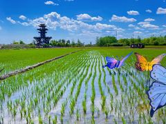 -稻梦空间冰雪小镇