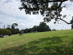 -奥克兰战争纪念博物馆