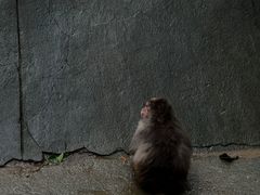 -杭州动物园