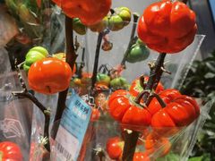 -盒马鲜生(馥邦国际店)