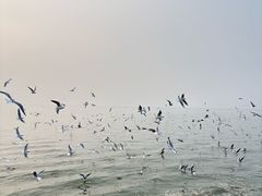 -缥缈峰景区