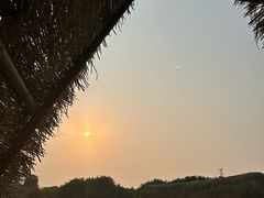 -海上田园