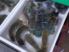 -拉威海鲜市场