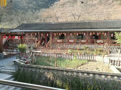 -牛背梁国家森林公园