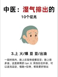 -Fundi张玉珊修身堂·indiba·BTL科技瘦身