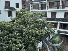 -苏州吴宫泛太平洋酒店