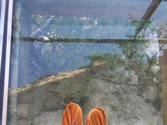 -罗田天堂寨风景区